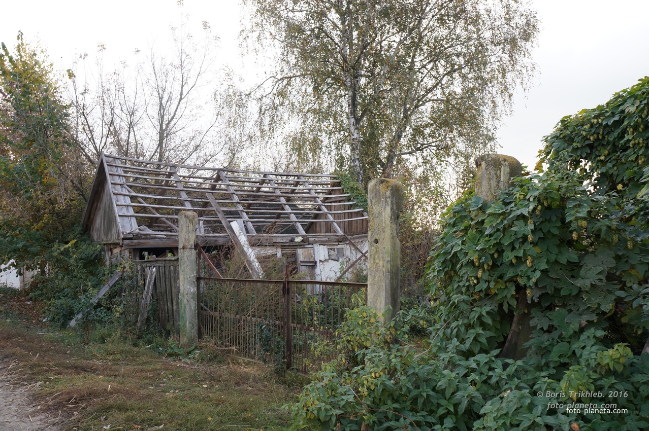 Луговая улица