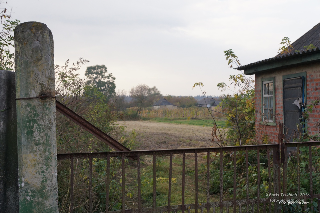 Луговая улица