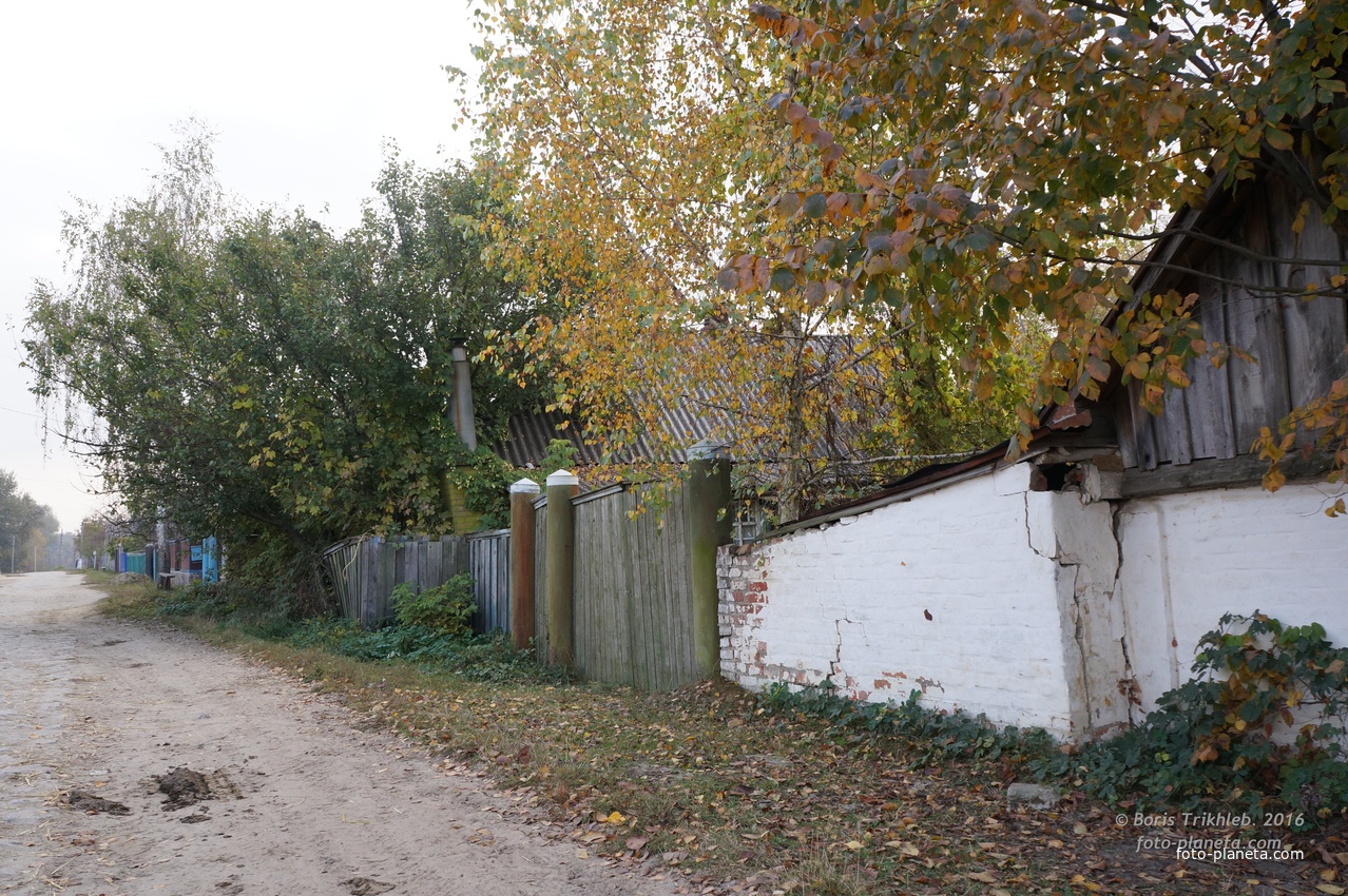 Луговая улица