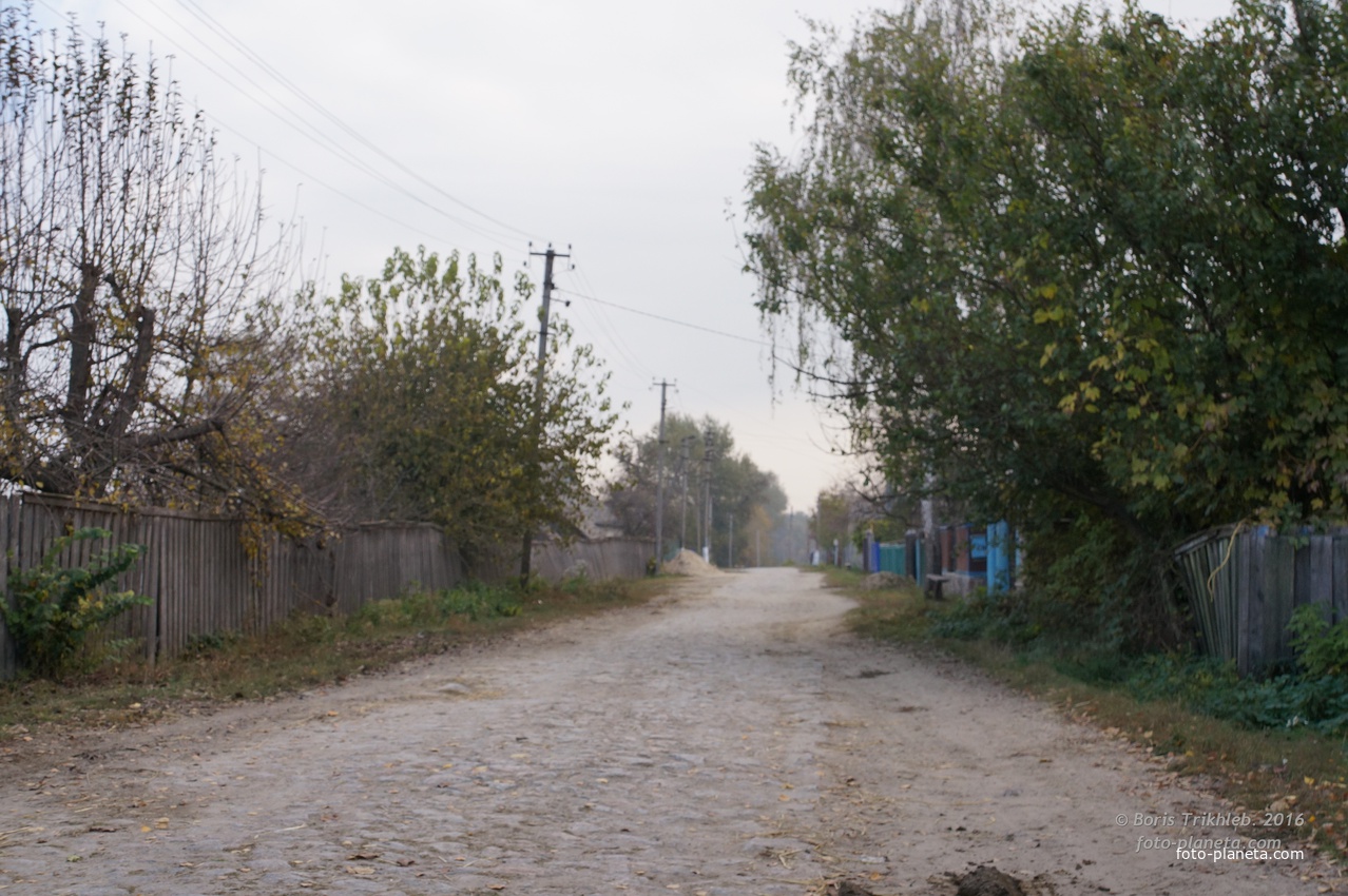 Луговая улица