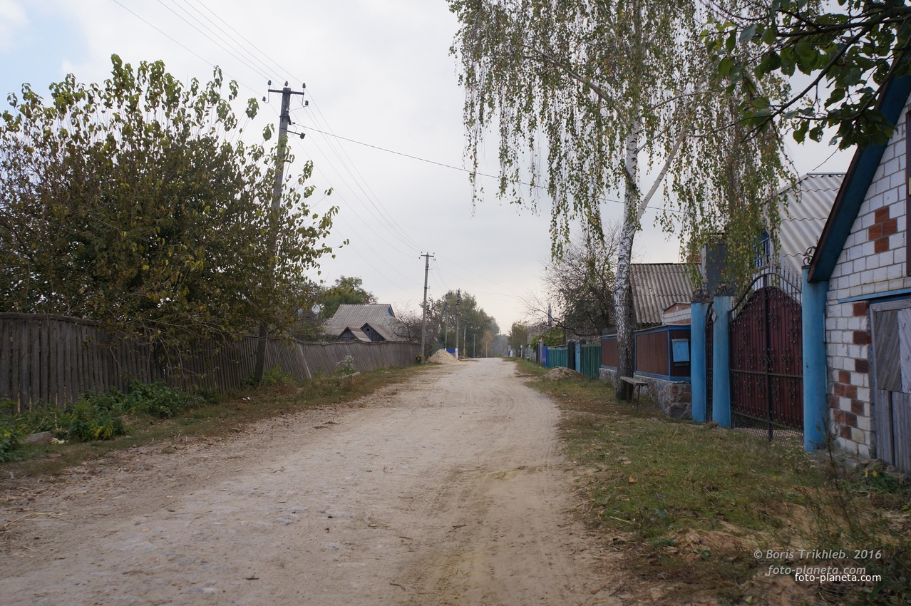 Луговая улица