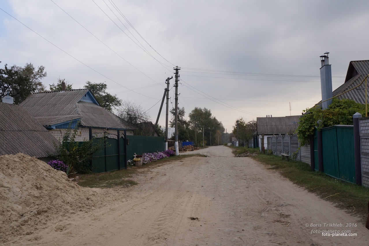 Луговая улица