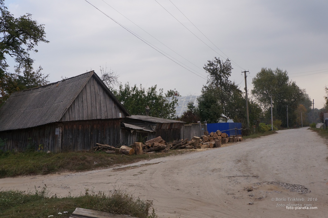 Луговая улица