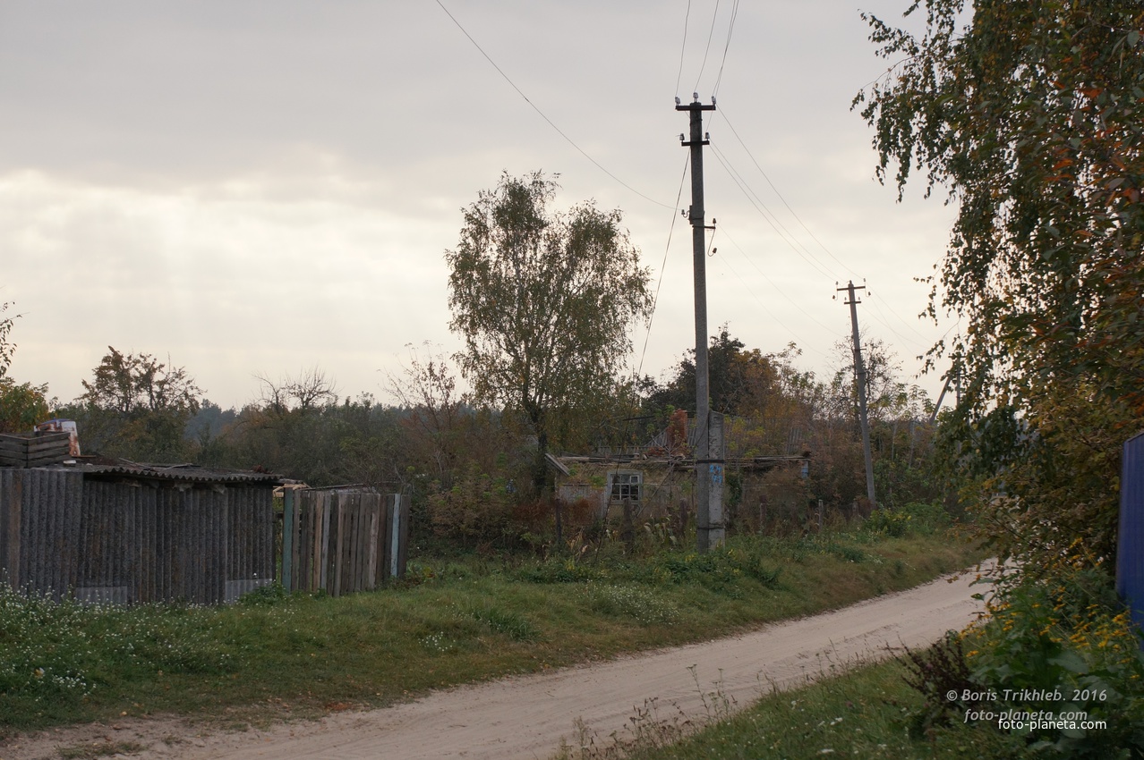 Улица Павловая