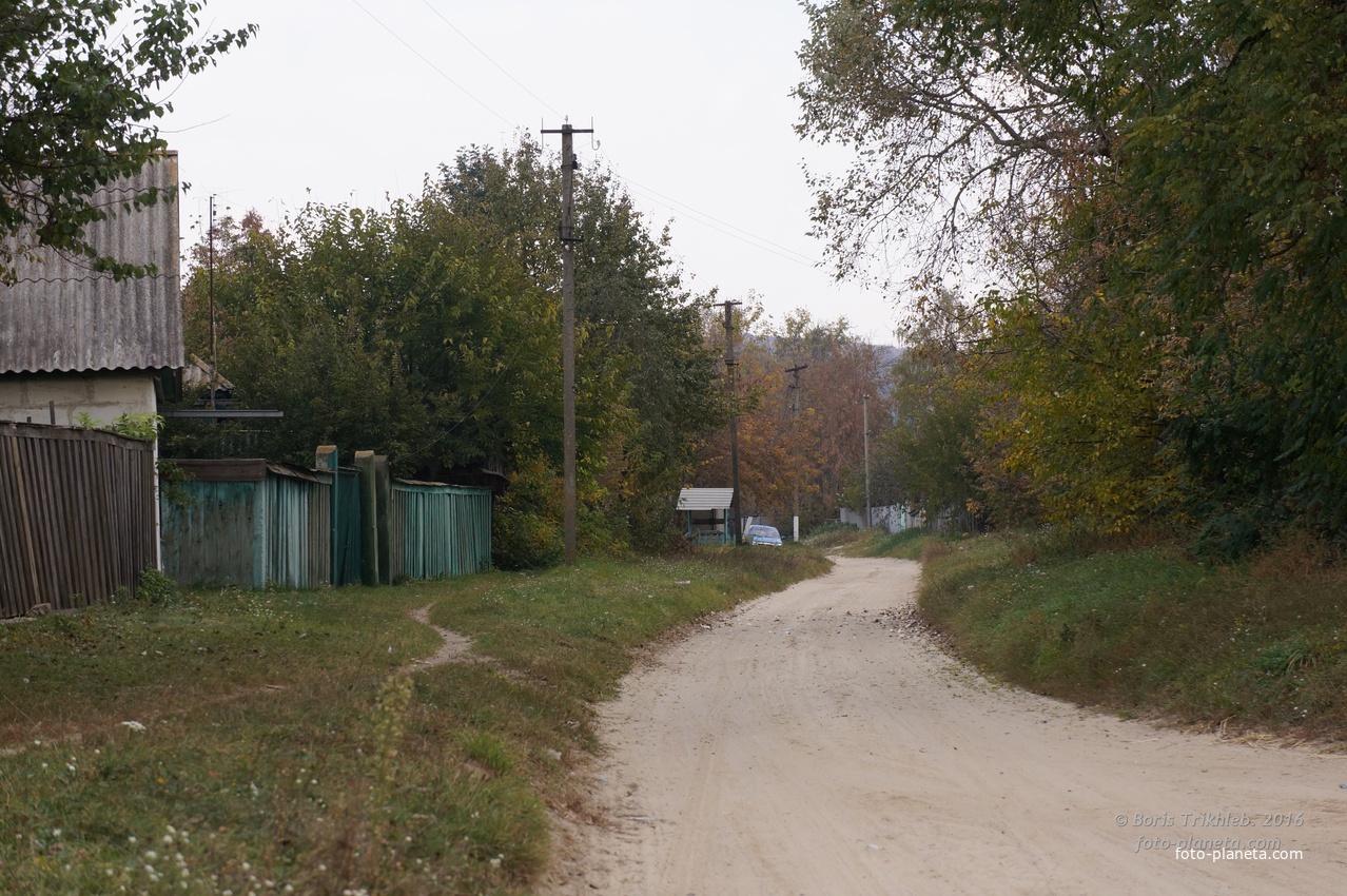 Улица Павловая