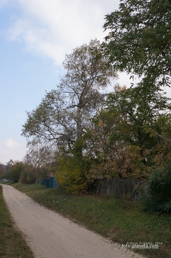 Улица Павловая