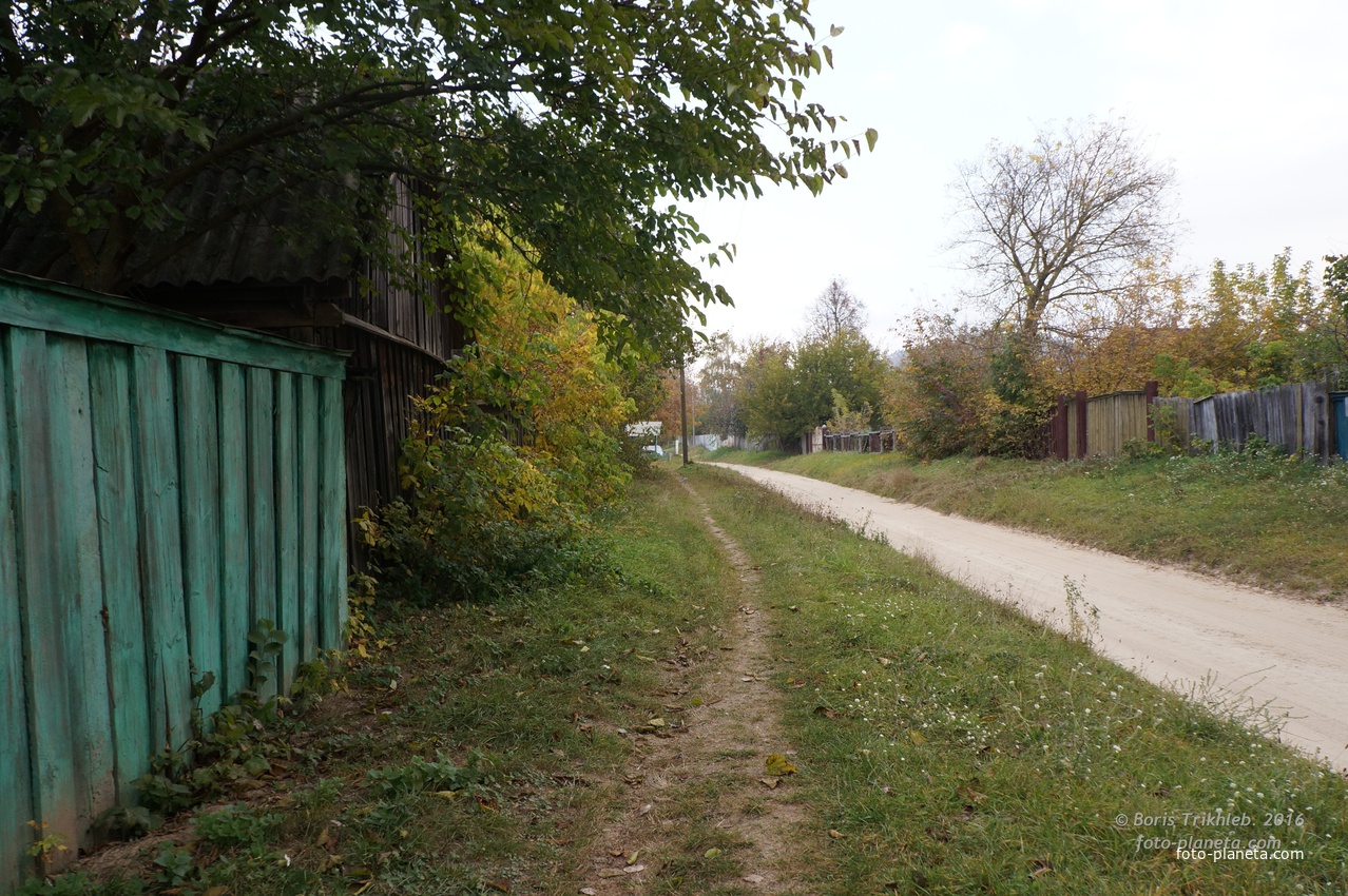 Улица Павловая