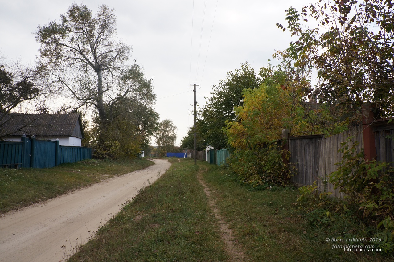 Павловая улица