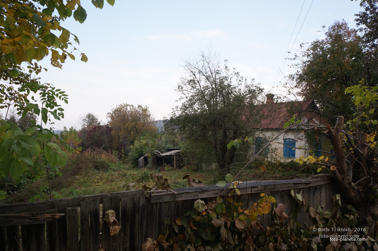 Павловая улица