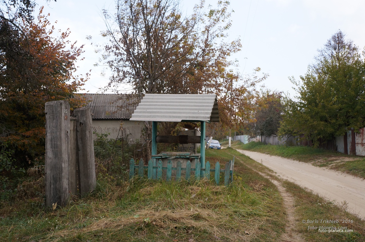 Павловая улица