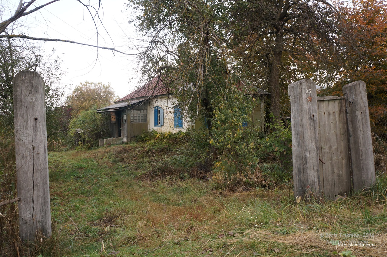 Павловая улица