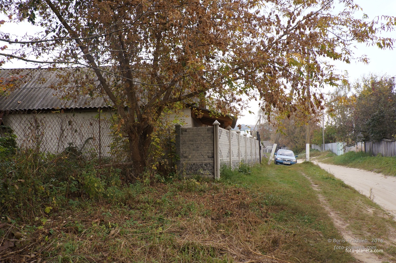 Павловая улица