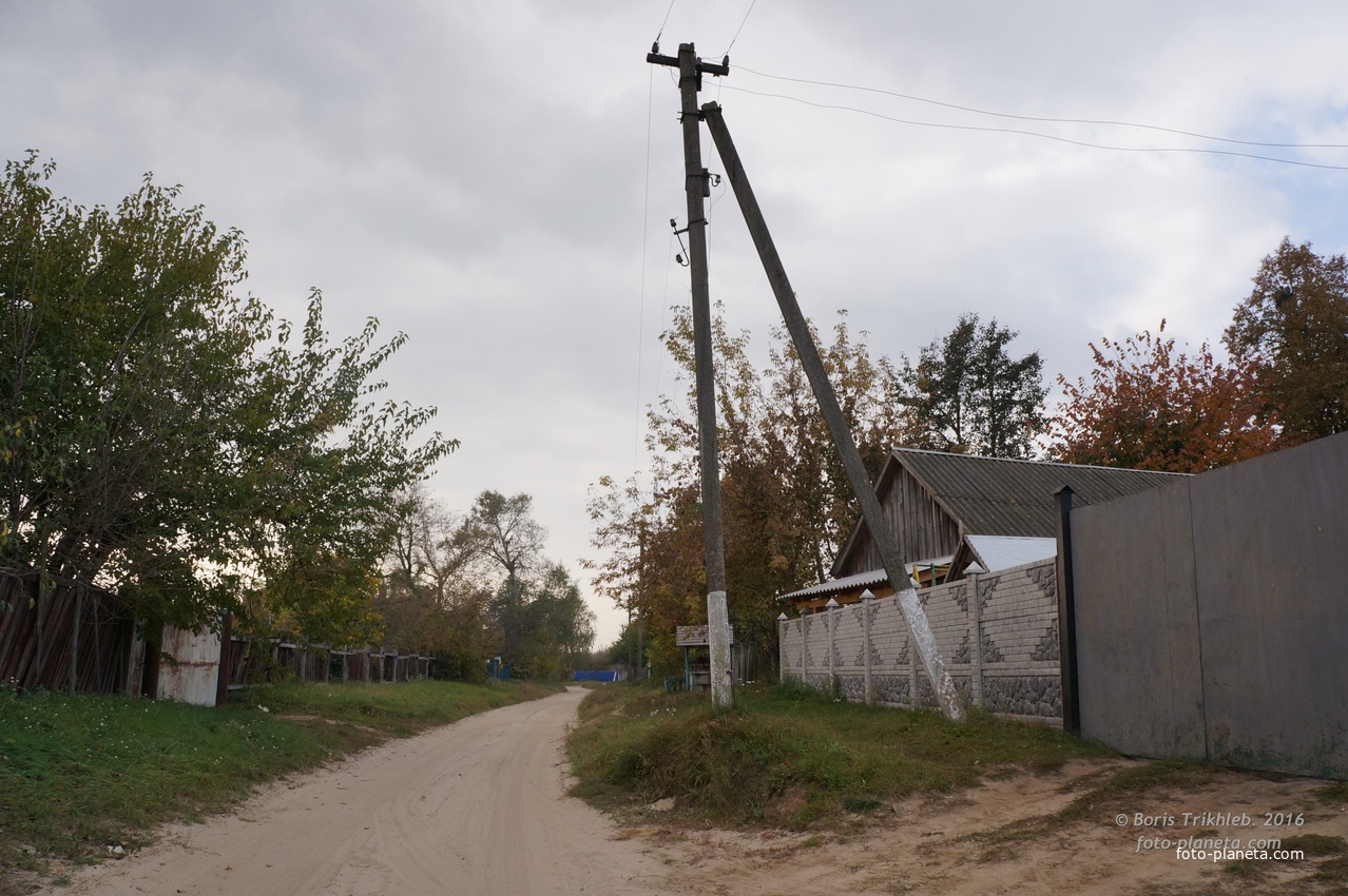 Павловая улица