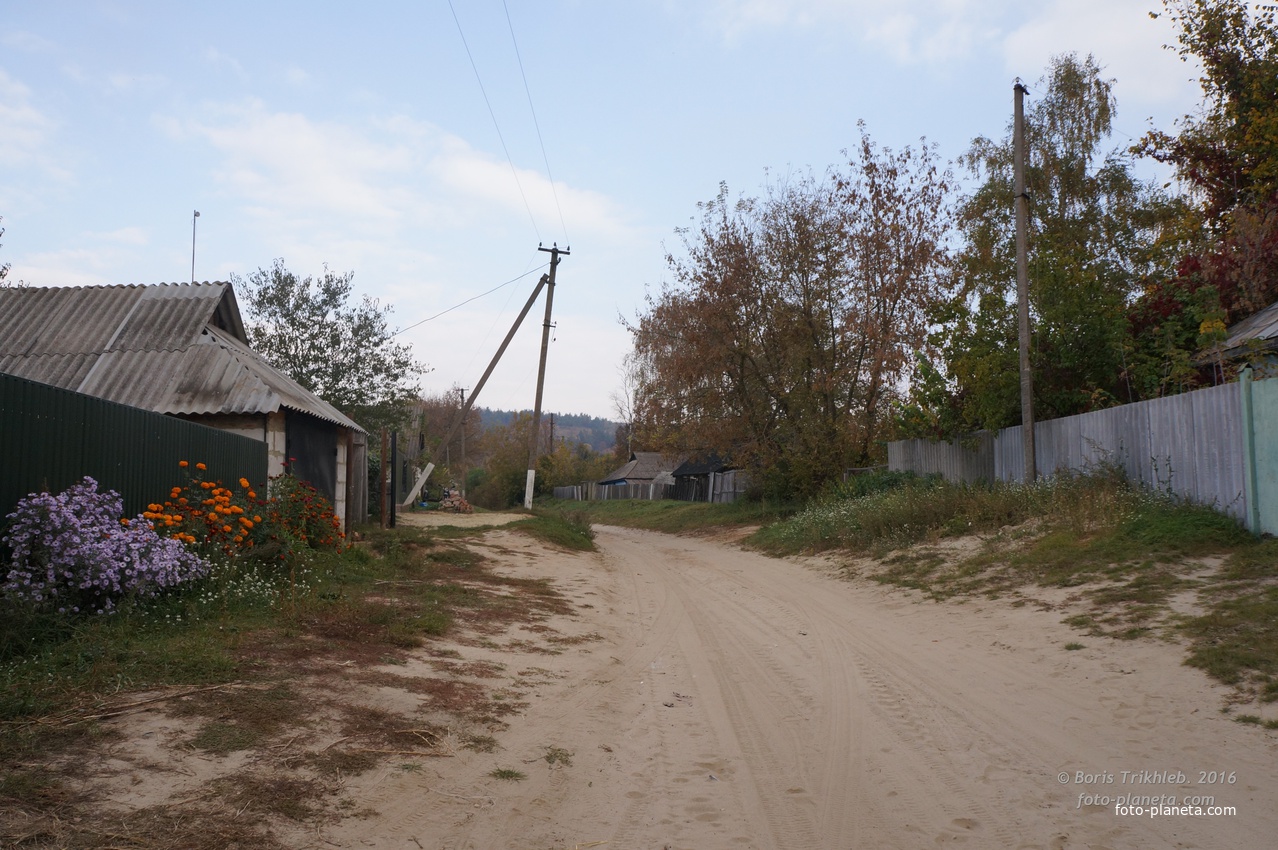 Павловая улица