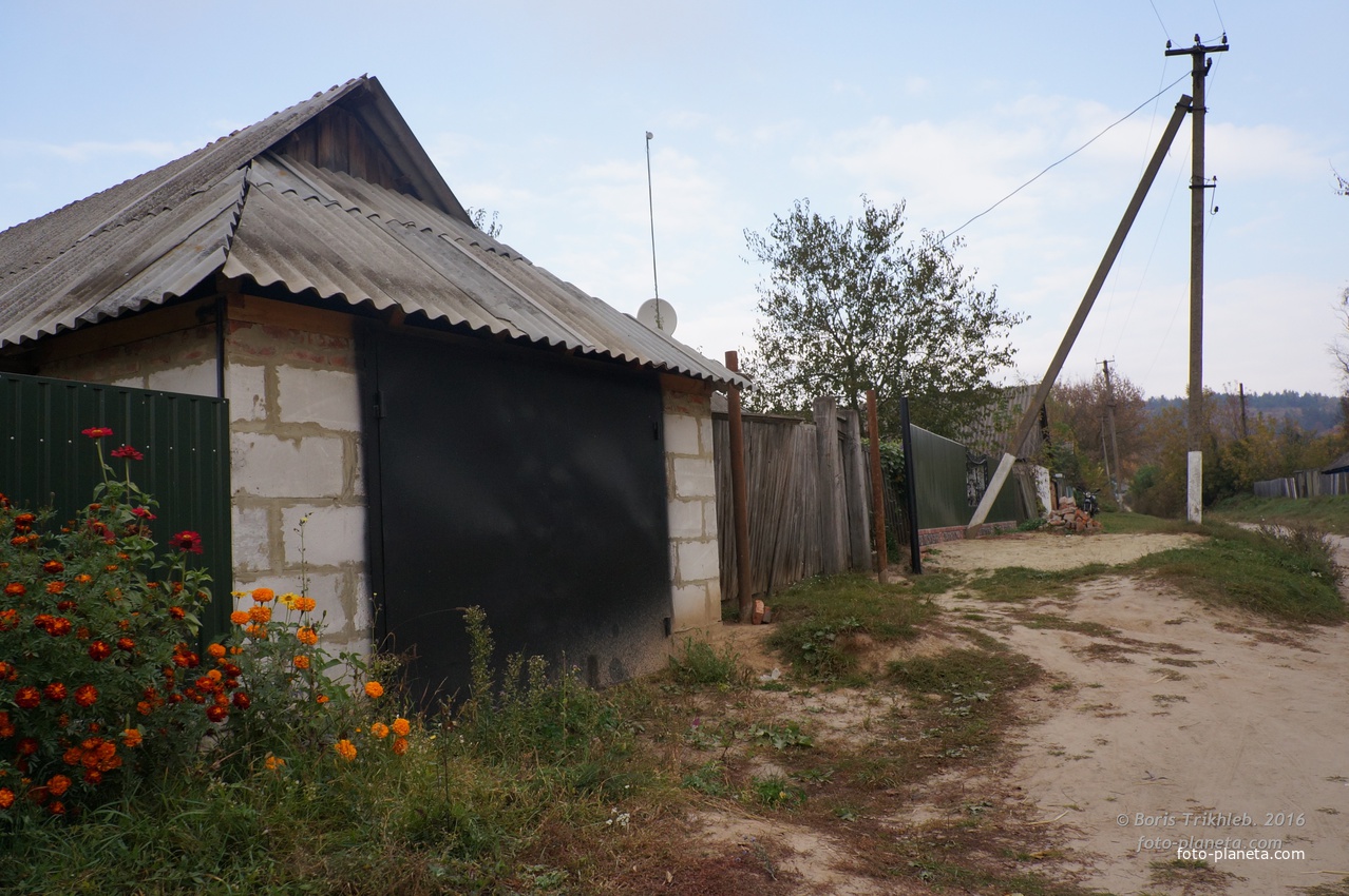 Павловая улица