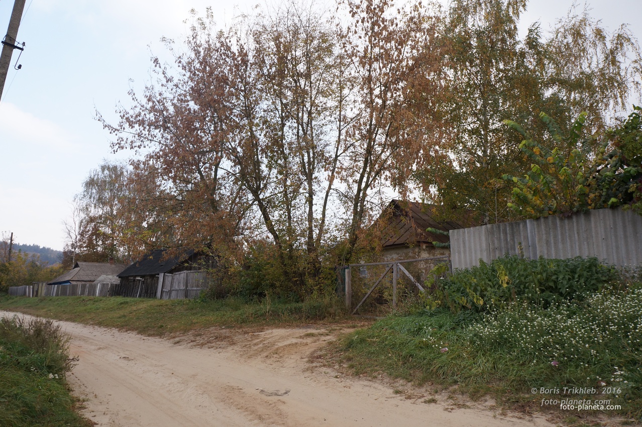 Павловая улица