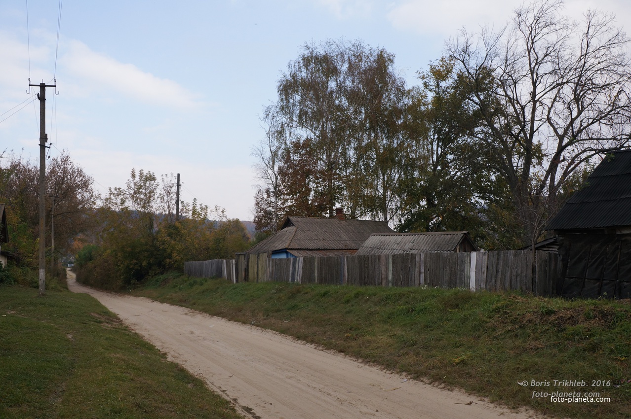 Павловая улица