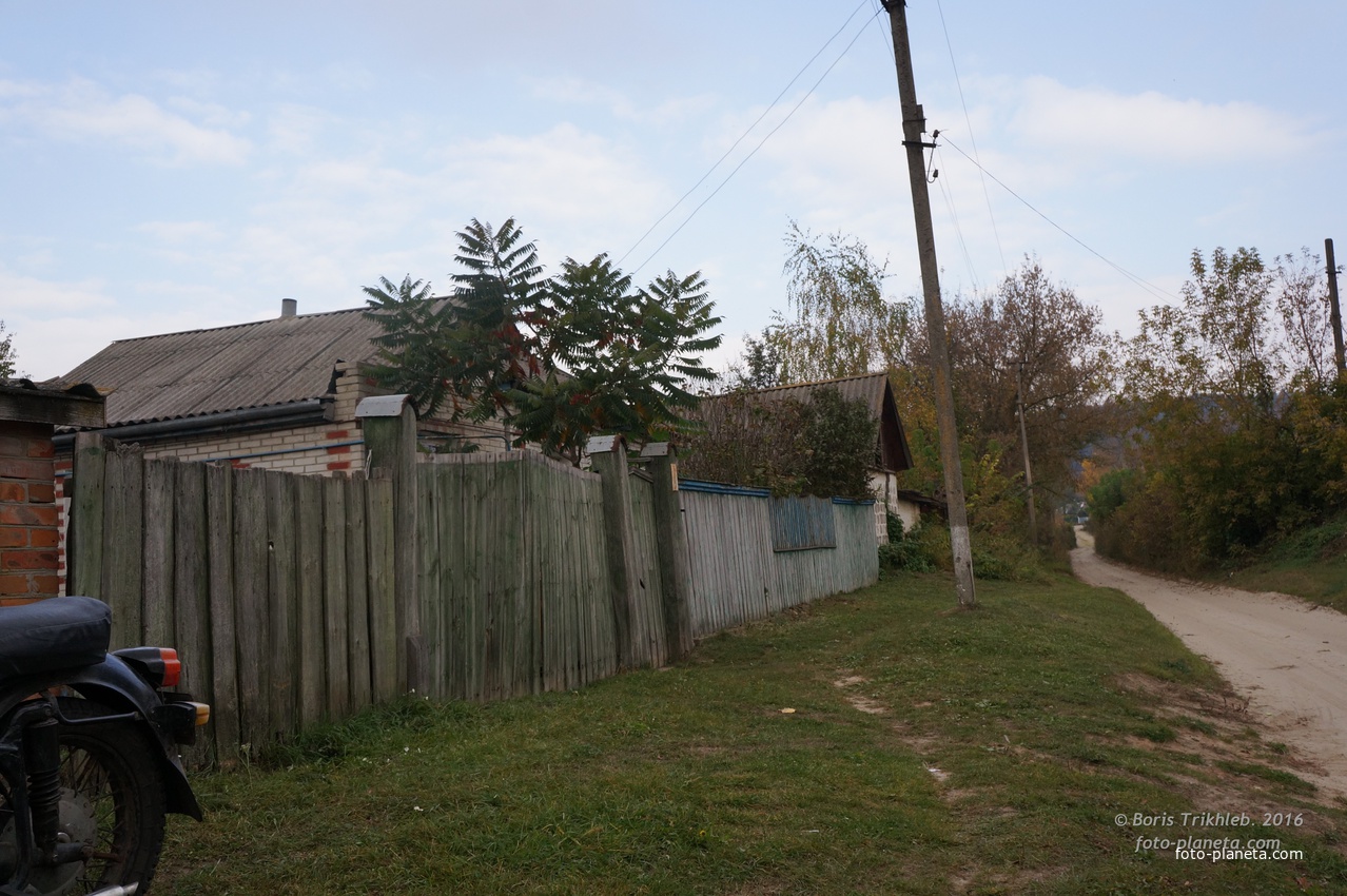 Павловая улица