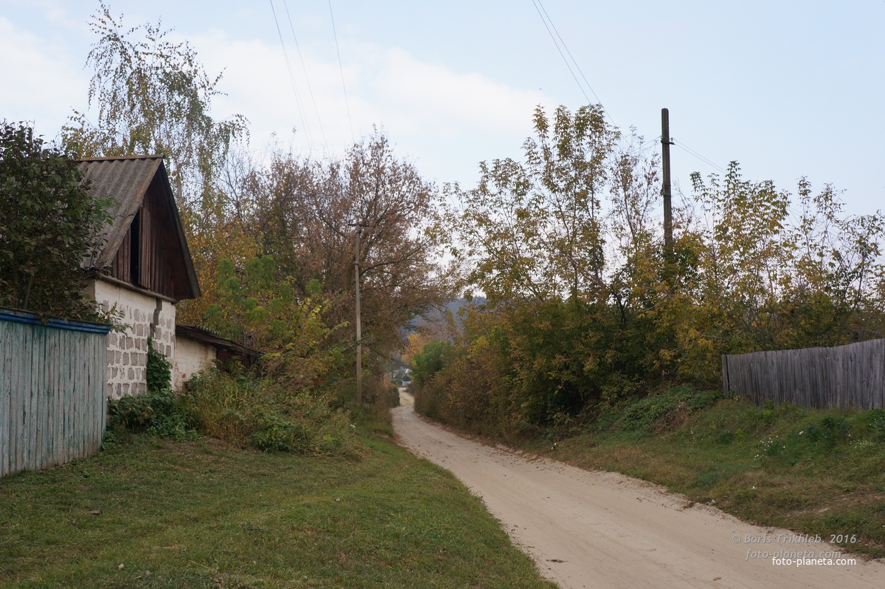 Павловая улица