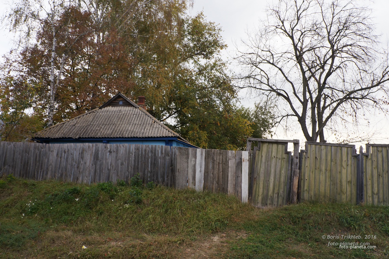 Павловая улица