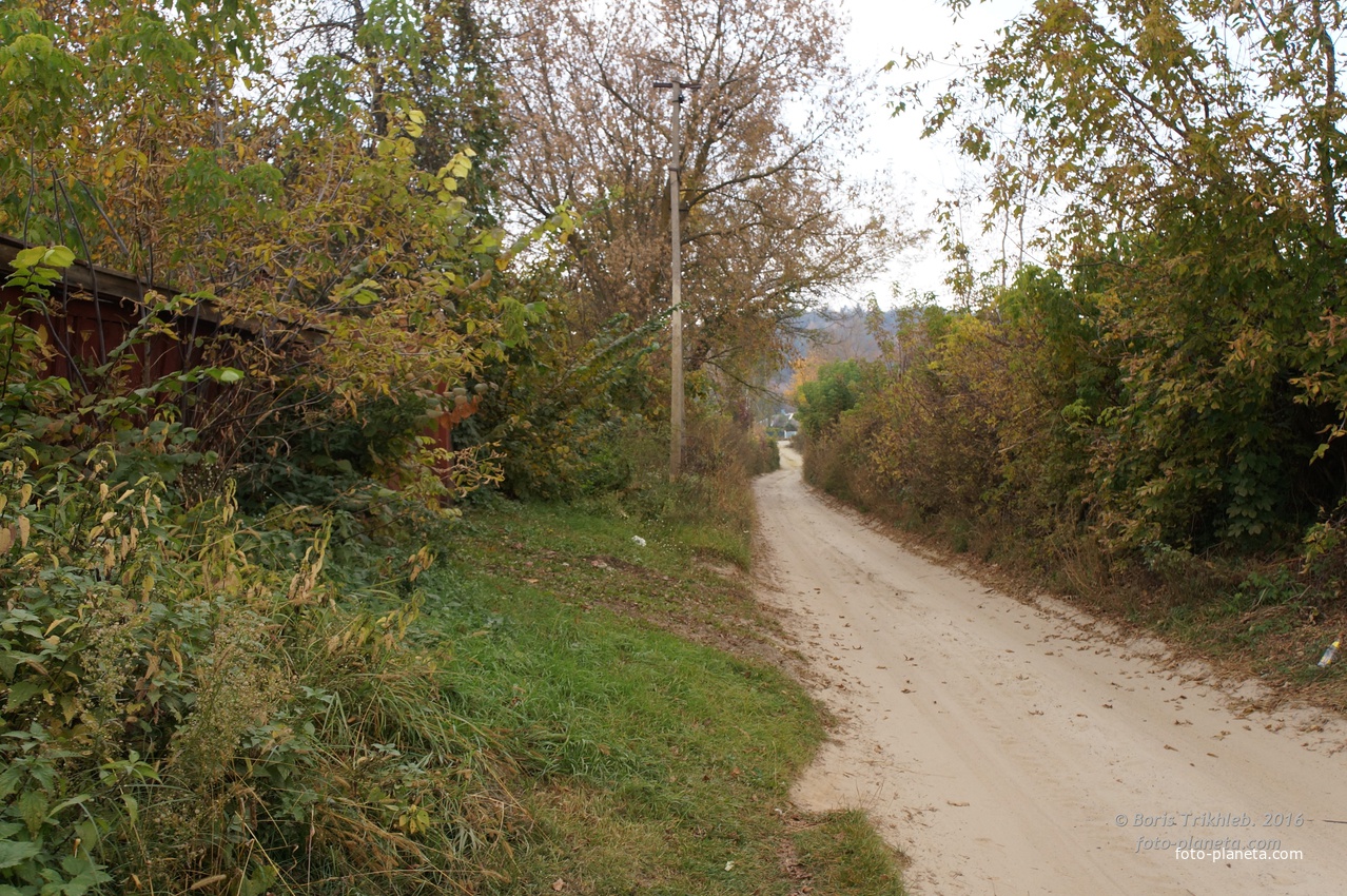 Павловая улица