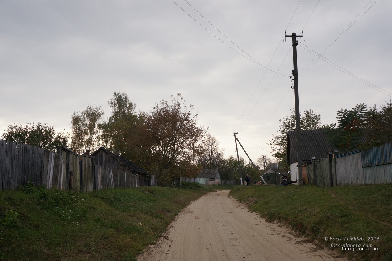 Павловая улица