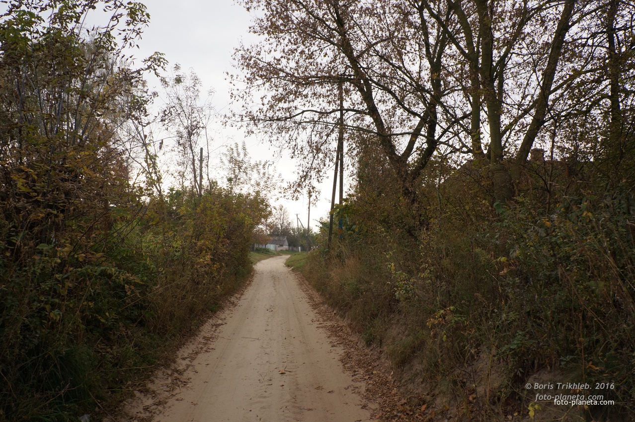 Павловая улица