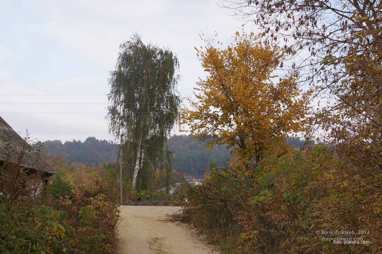 Павловая улица