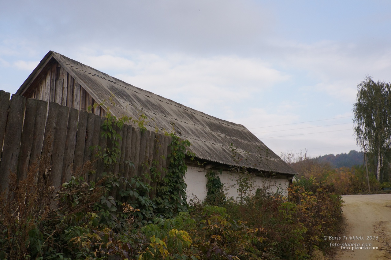 Павловая улица