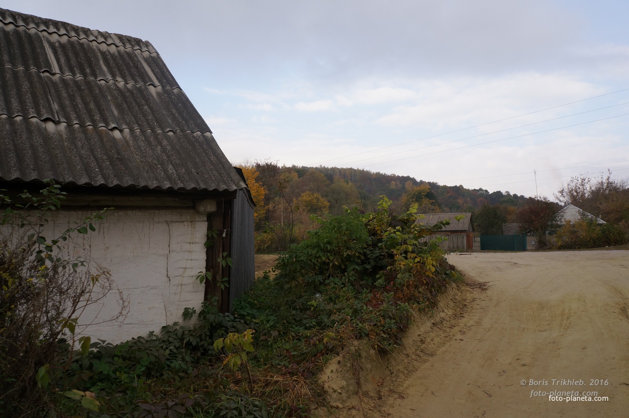 Павловая улица