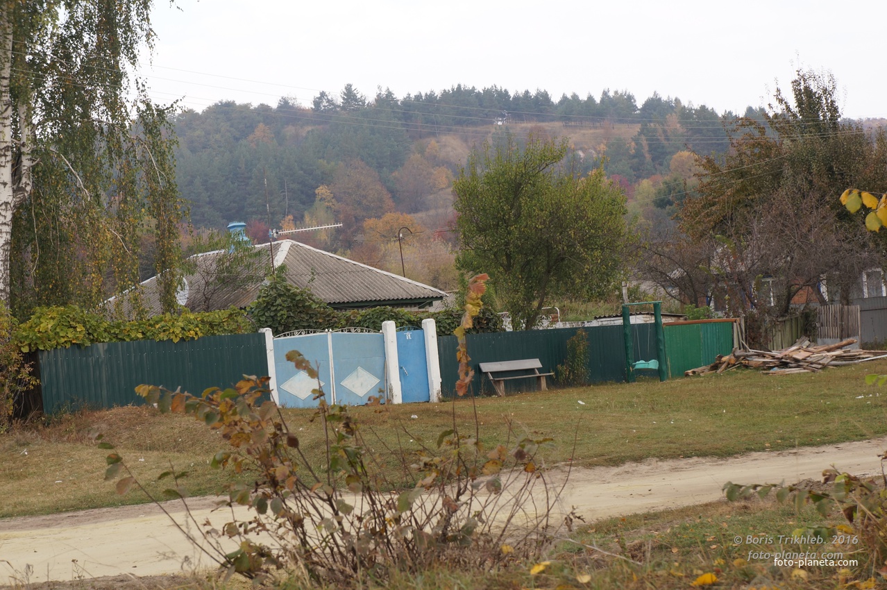 Павловая улица