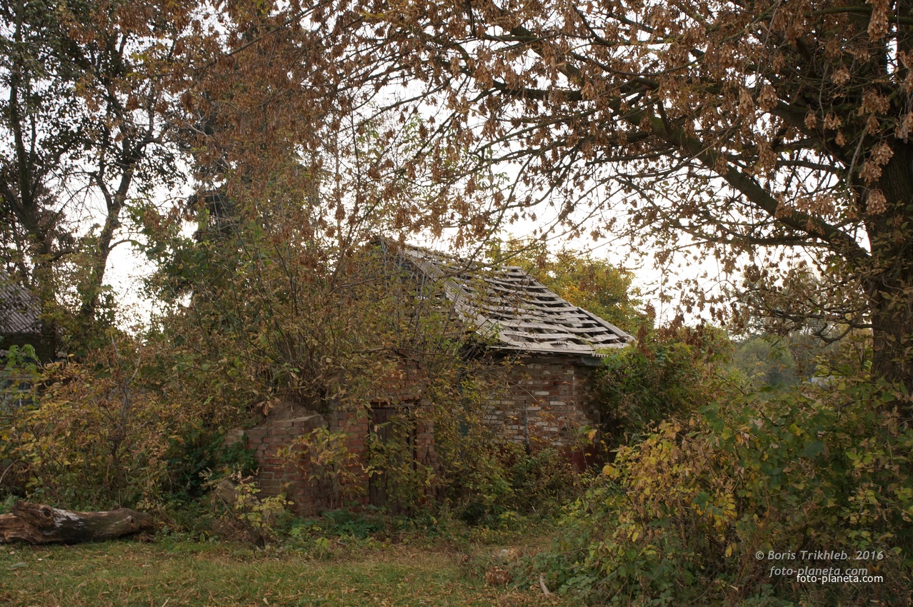 Кооперативная улица