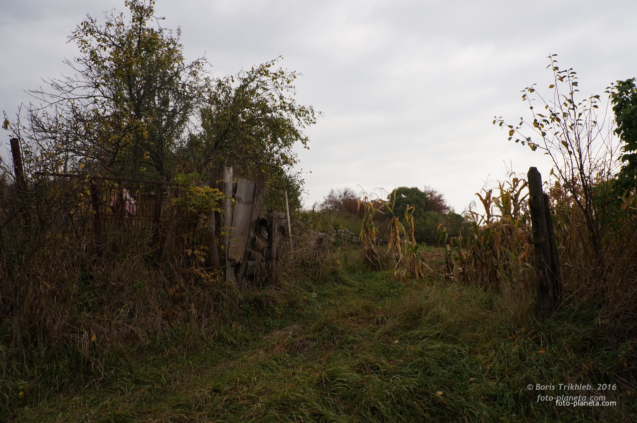 Озёрный переулок