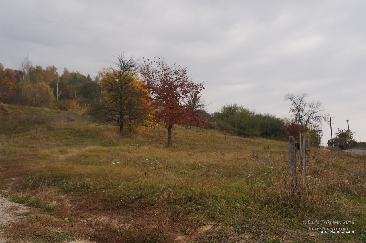 Улица А.Трихлеба