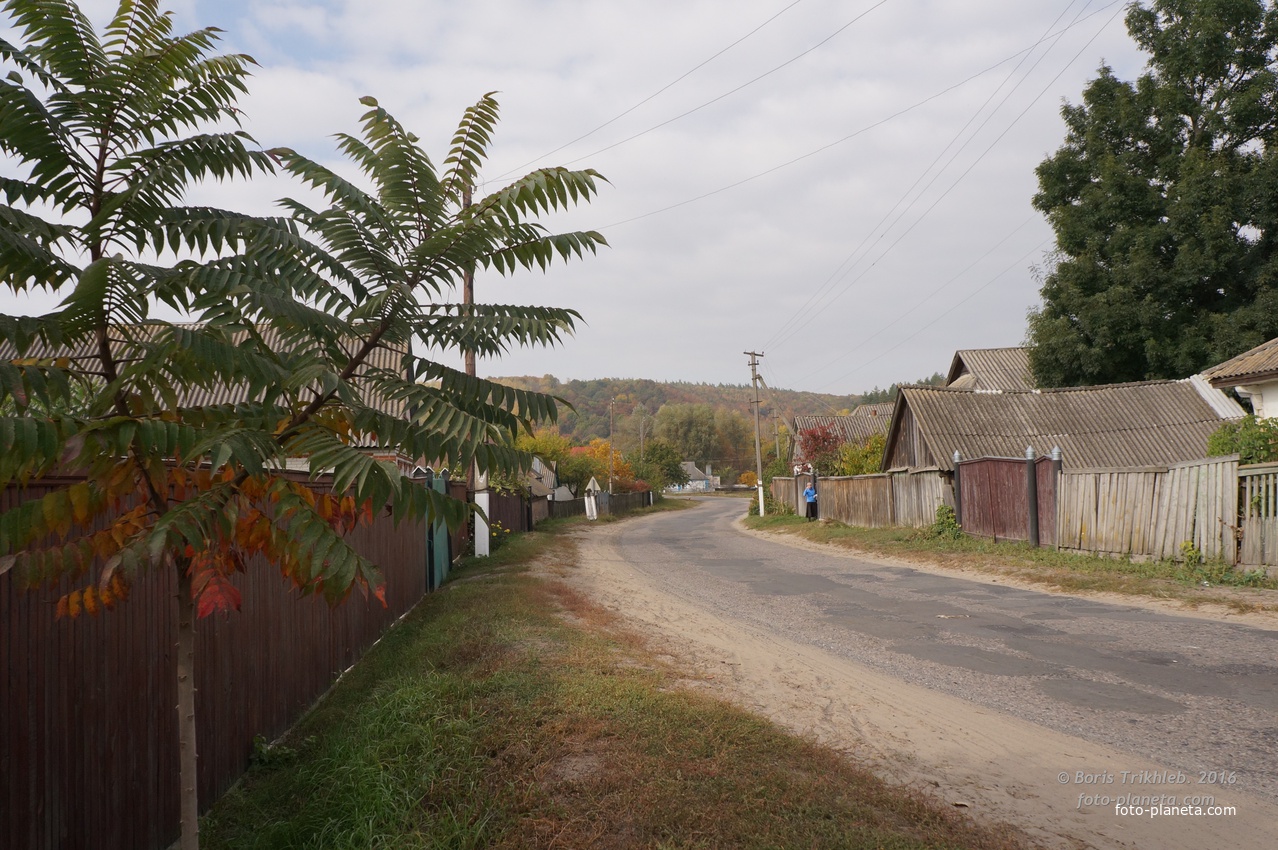 Улица Трихлеб