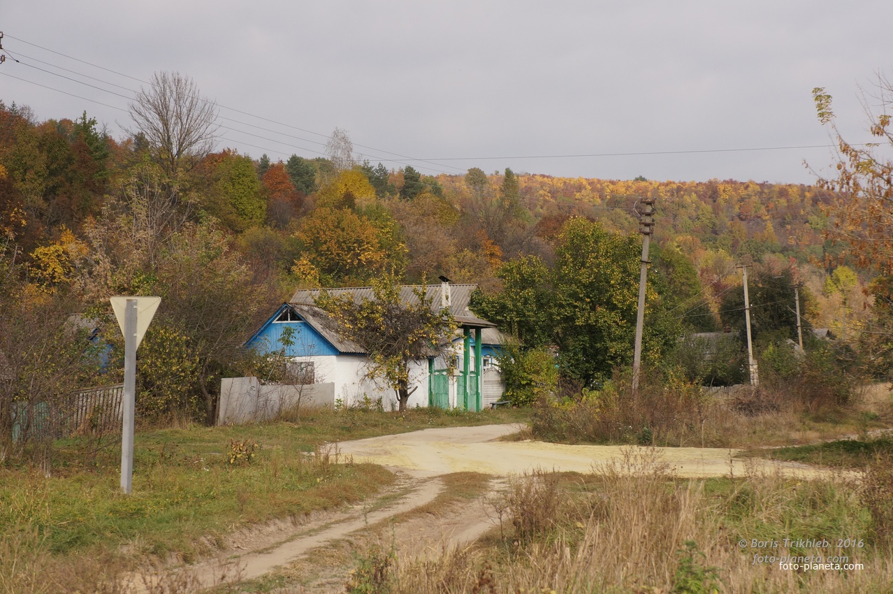 Павловая улица
