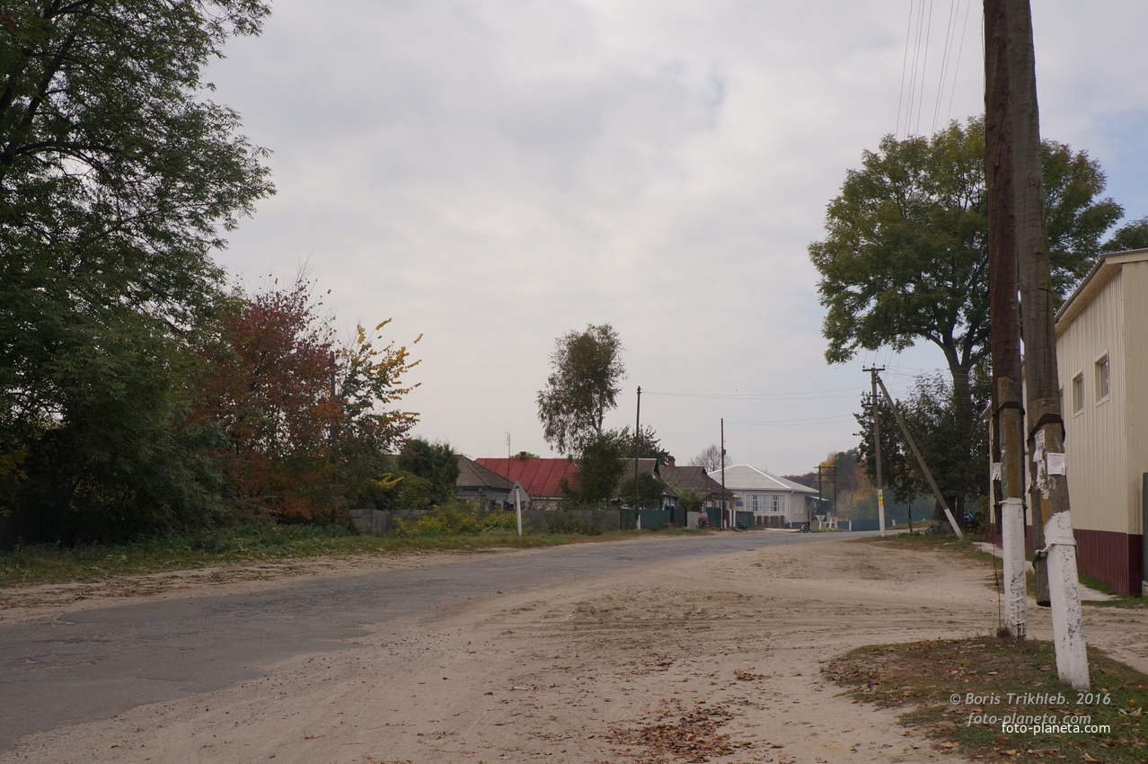 Улица А.Трихлеб (Сумская)