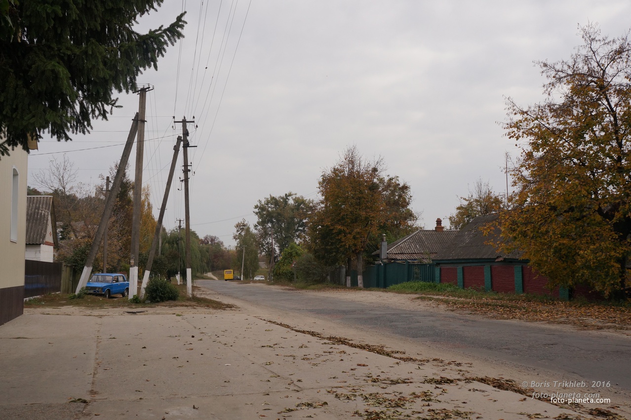 Улица А.Трихлеб (Сумская)