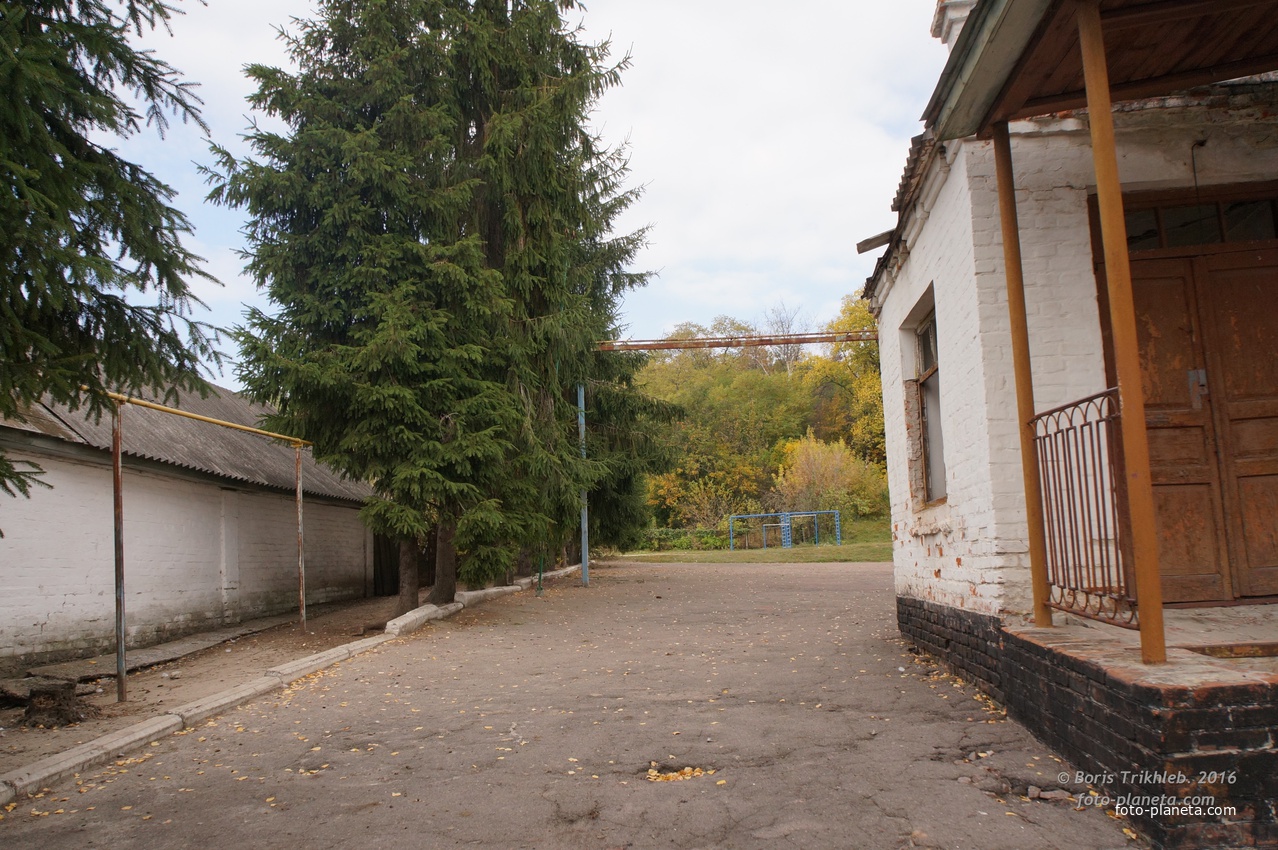 Школьный двор