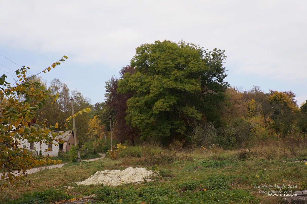 Михайловка