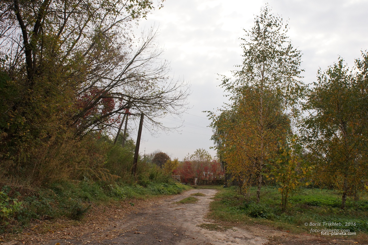 У школьного двора