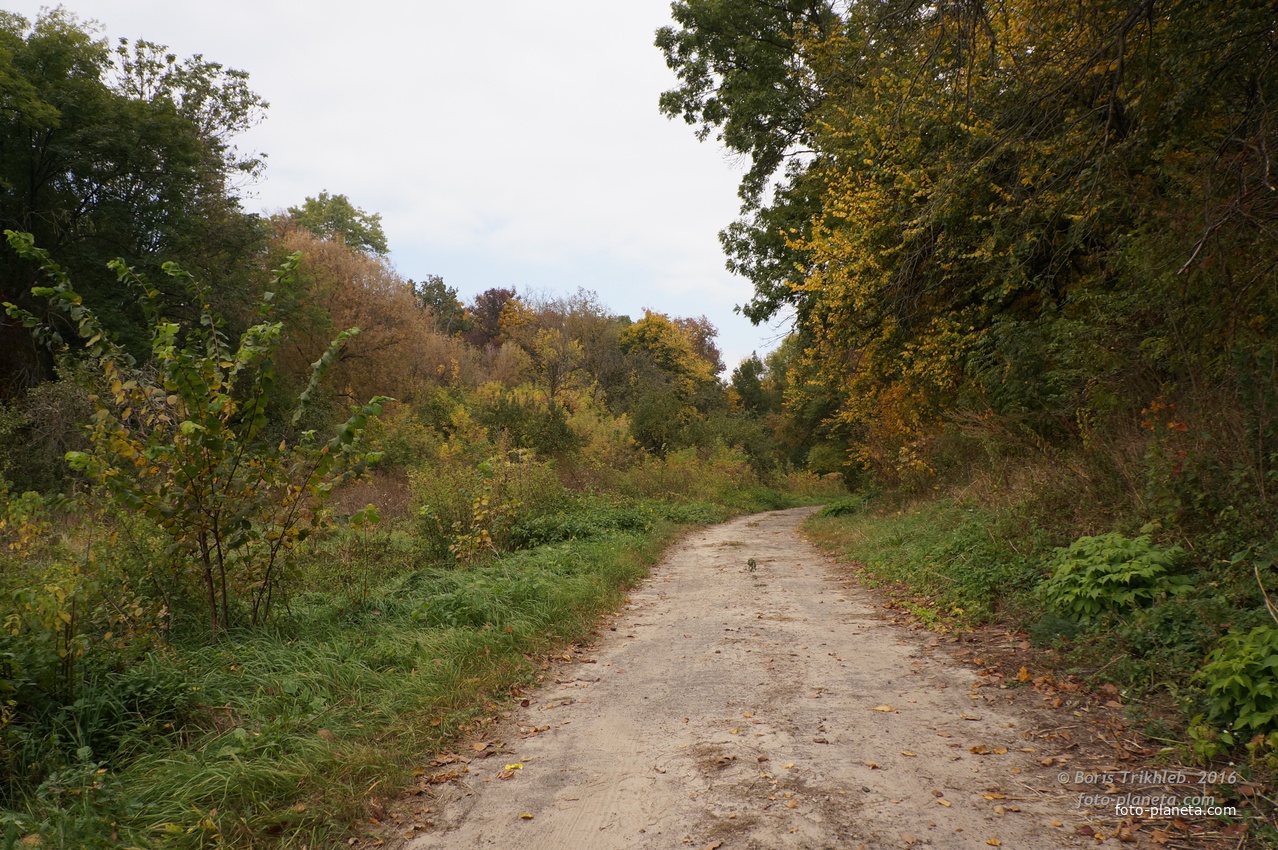 Дорога на часовню, к памятнику ВОВ