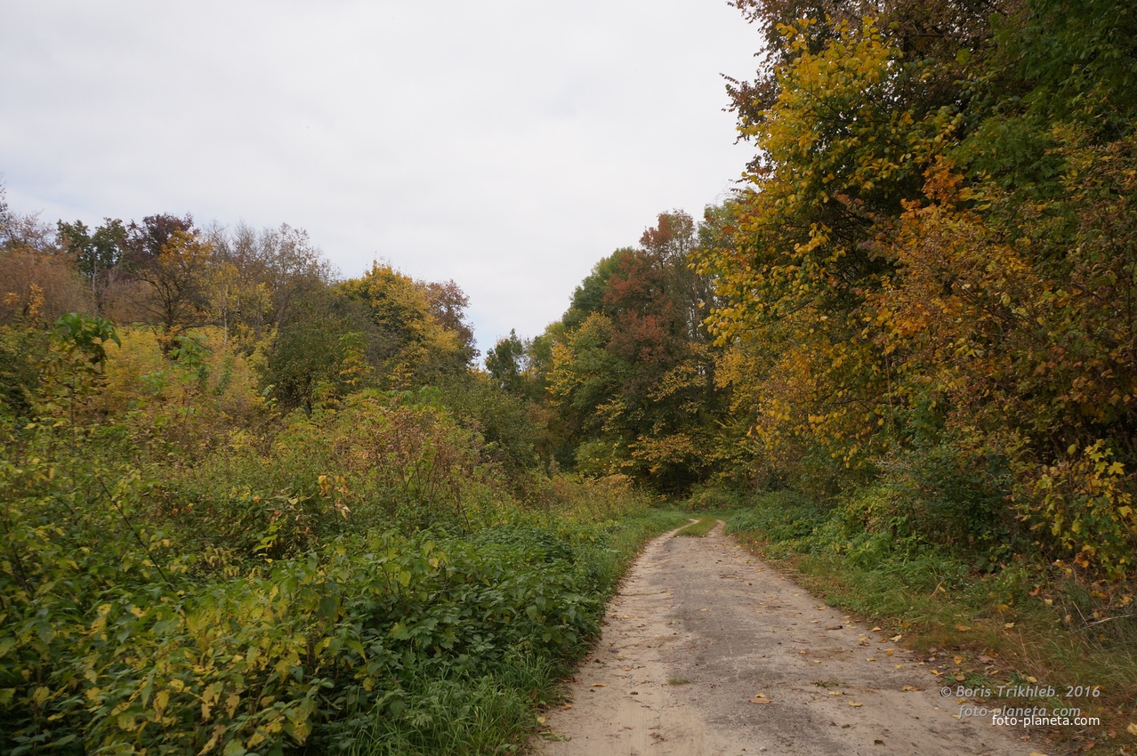 Дорога на часовню и к памятнику