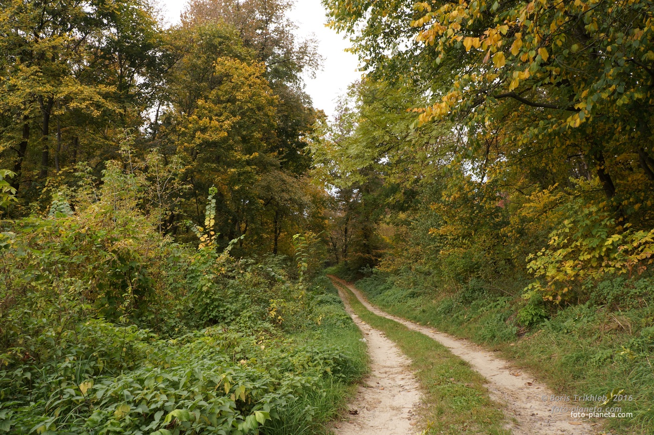 Дорога на часовню и к памятнику