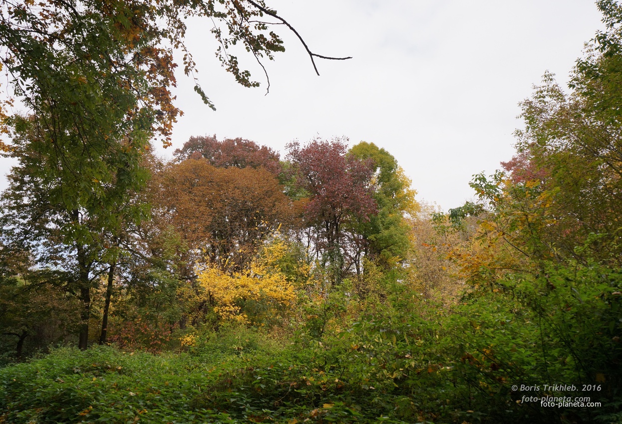 На горе у Западни