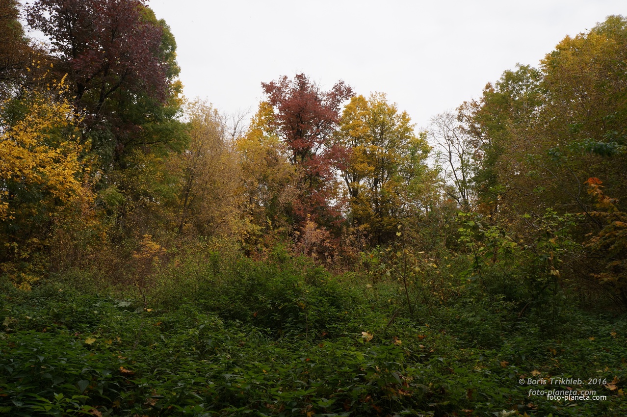 На горе у Западни