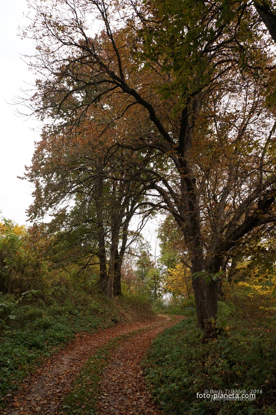 Дорога на часовню