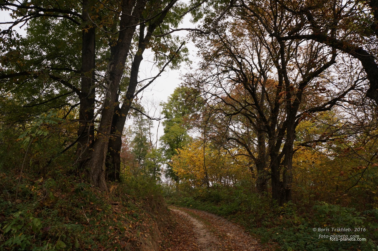 Дорога на часовню