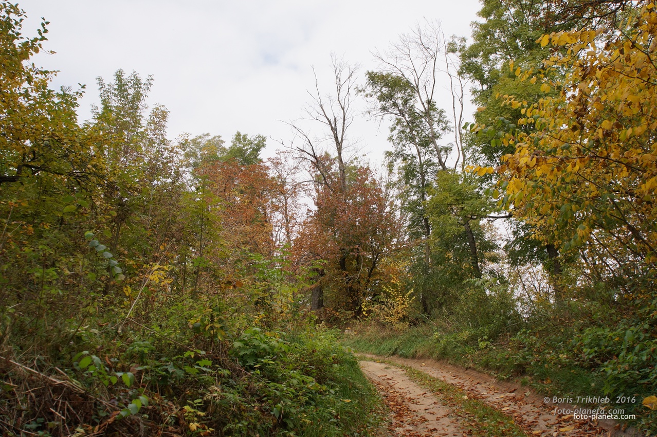 Дорога на часовню