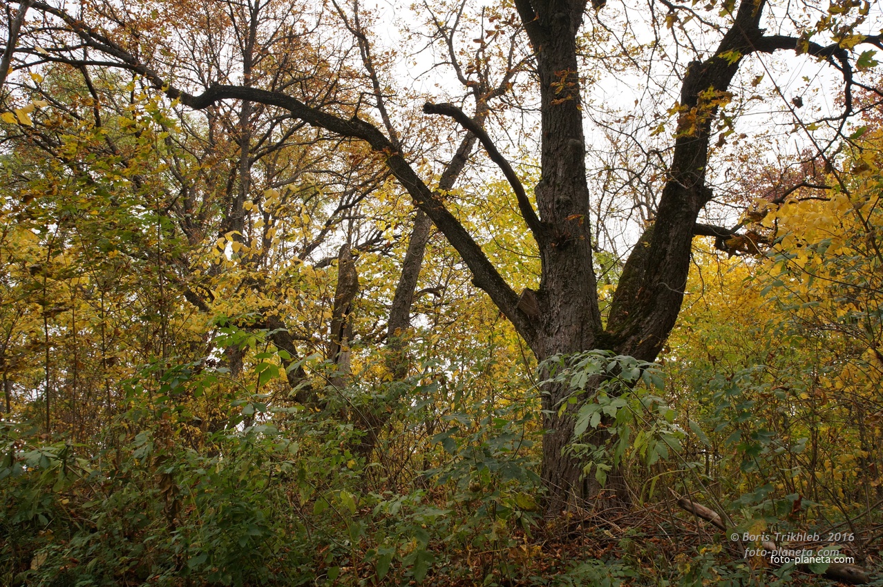 Дорога на часовню